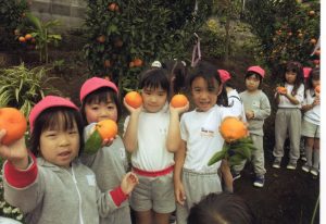 mikan